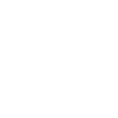Roll the dice